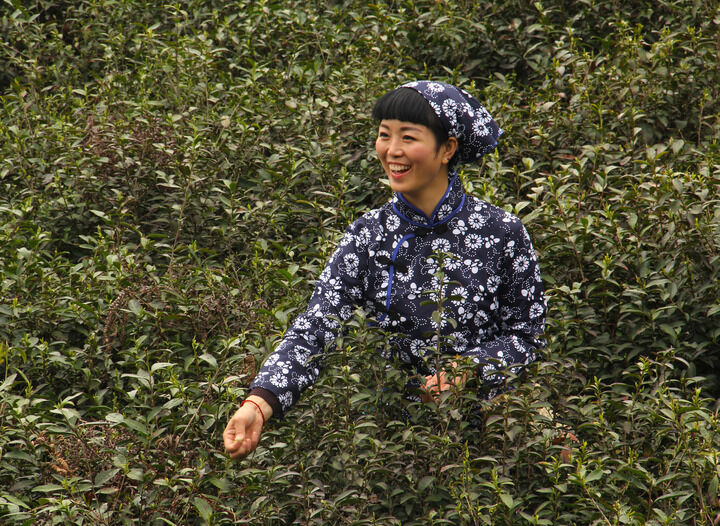 企鹅号·奶冻布丁酱 热门2